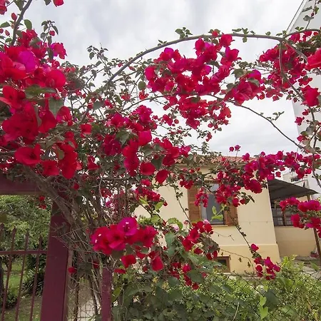 Traditional Near The And Center Vr Hotel Kalamata